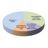 Gene Function Analysis
