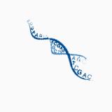 Sequencing Processing