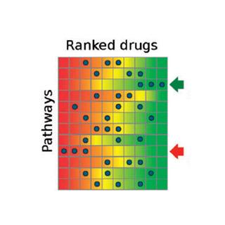 Disease Pathway Analysis