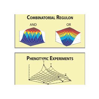 Drug Prediction Analysis