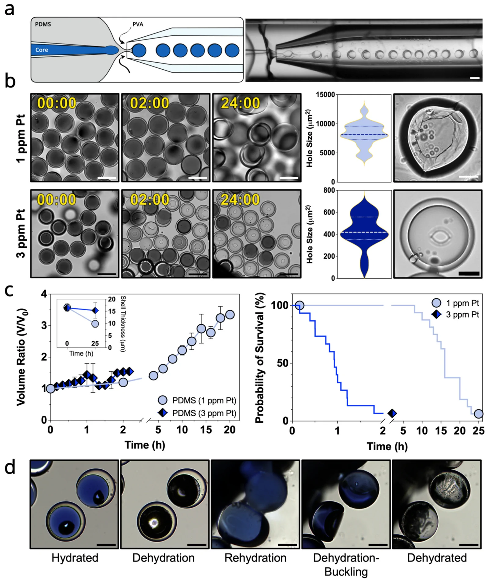 Fig. 3.