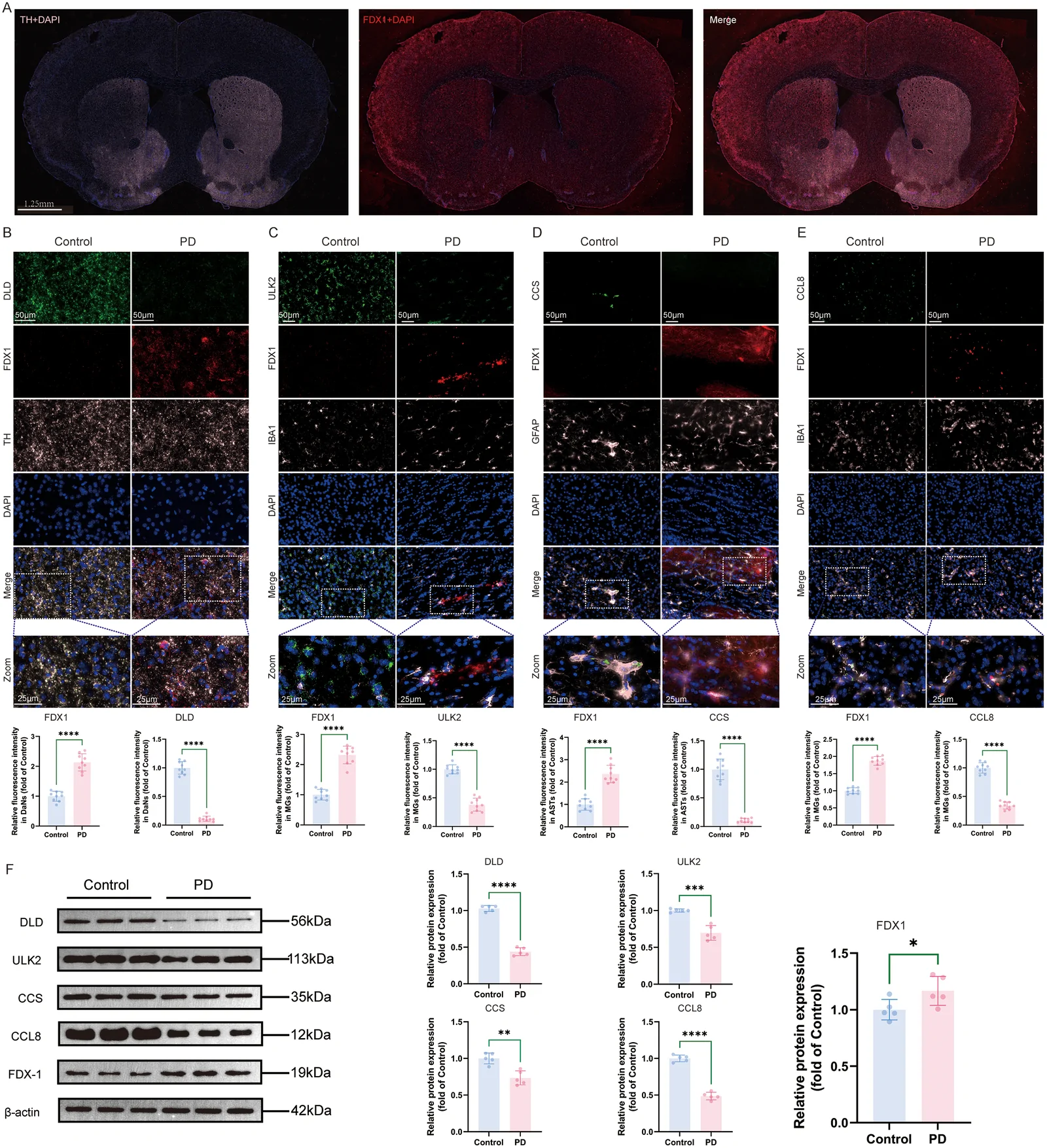 Figure 10