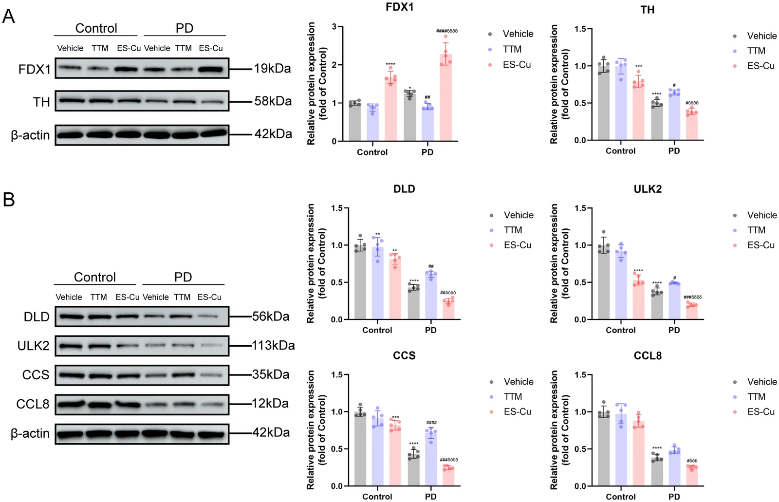 Figure 11